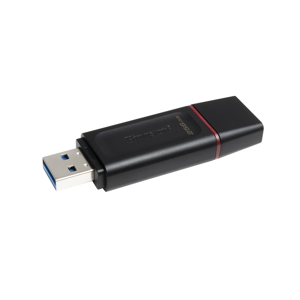 Kingston-DataTraveler-Exodia-256GB-USB-3.2-1