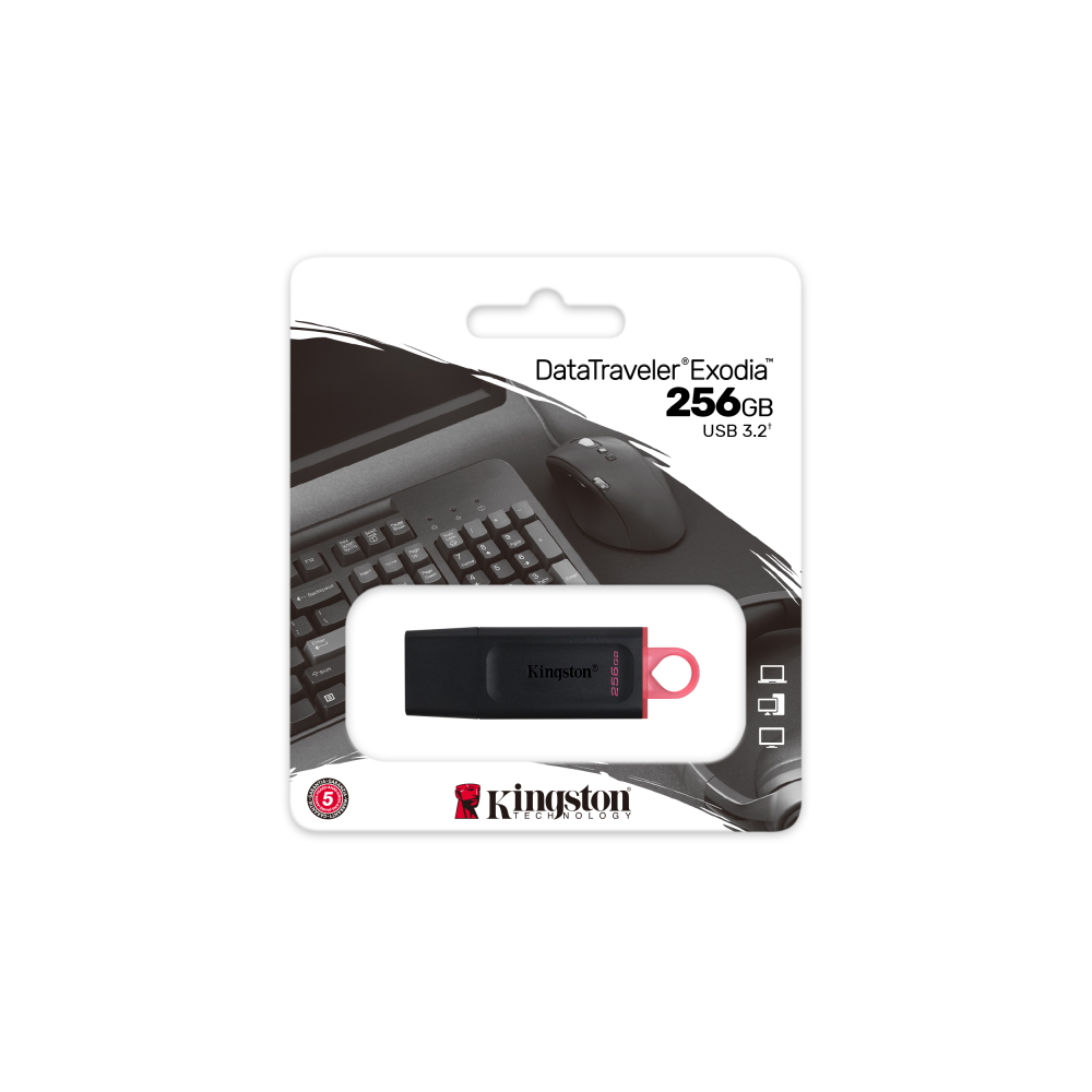 Kingston-DataTraveler-Exodia-256GB-USB-3.2-2