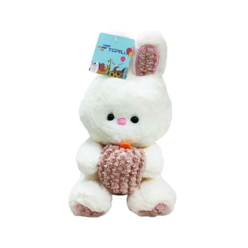 Λούτρινο Λαγουδάκι - Plush Bunny