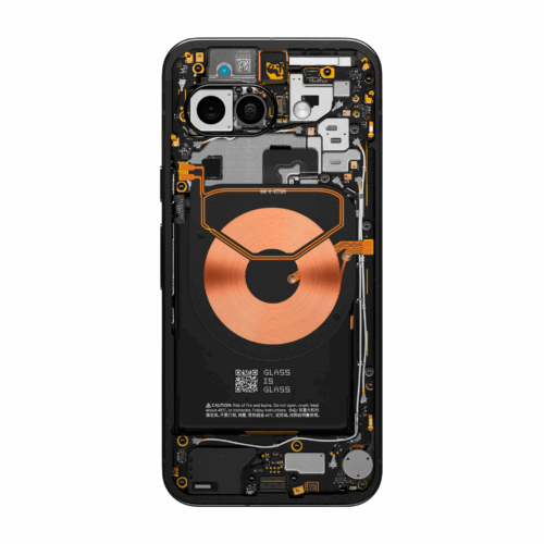 Google Pixel 9a Teardown Skin