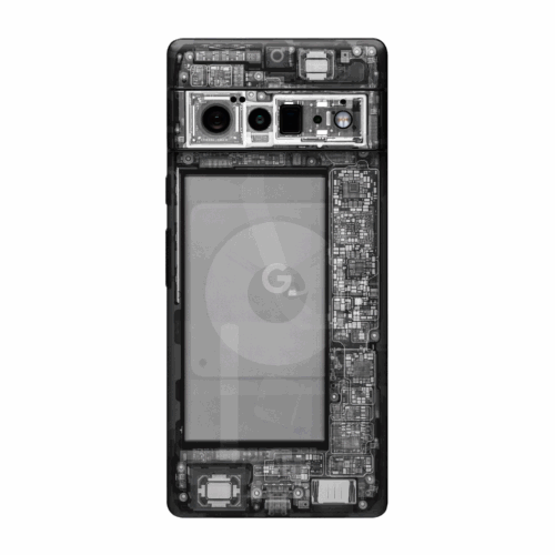 Google Pixel 6 Pro X-Ray Skin